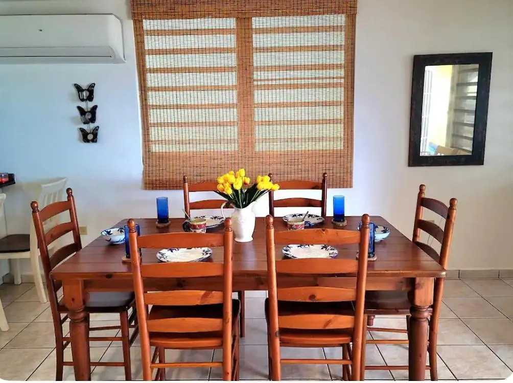 Oceanfront Vacation Home Near El Rainforest Luquillo Apartment
